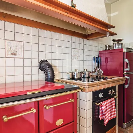Apartment Amazing In With Kitchen